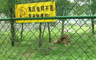 勾花護(hù)欄網(wǎng)