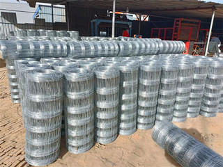 畜牧養(yǎng)殖網(wǎng)