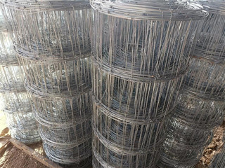 畜牧養(yǎng)殖網(wǎng)