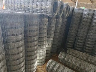 畜牧養(yǎng)殖網(wǎng)